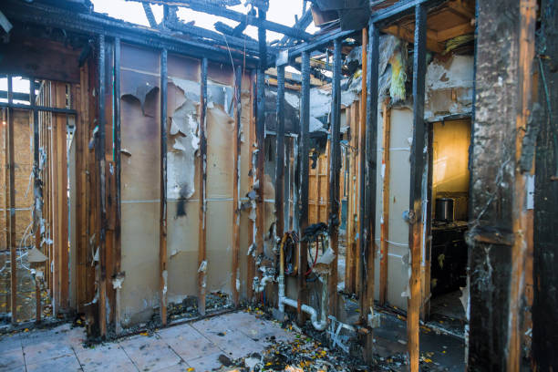 Professional Smoke Damage Removal technician working in Burlington, WA