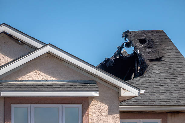 Top rated local Smoke Damage Removal specialists in Burlington, WA